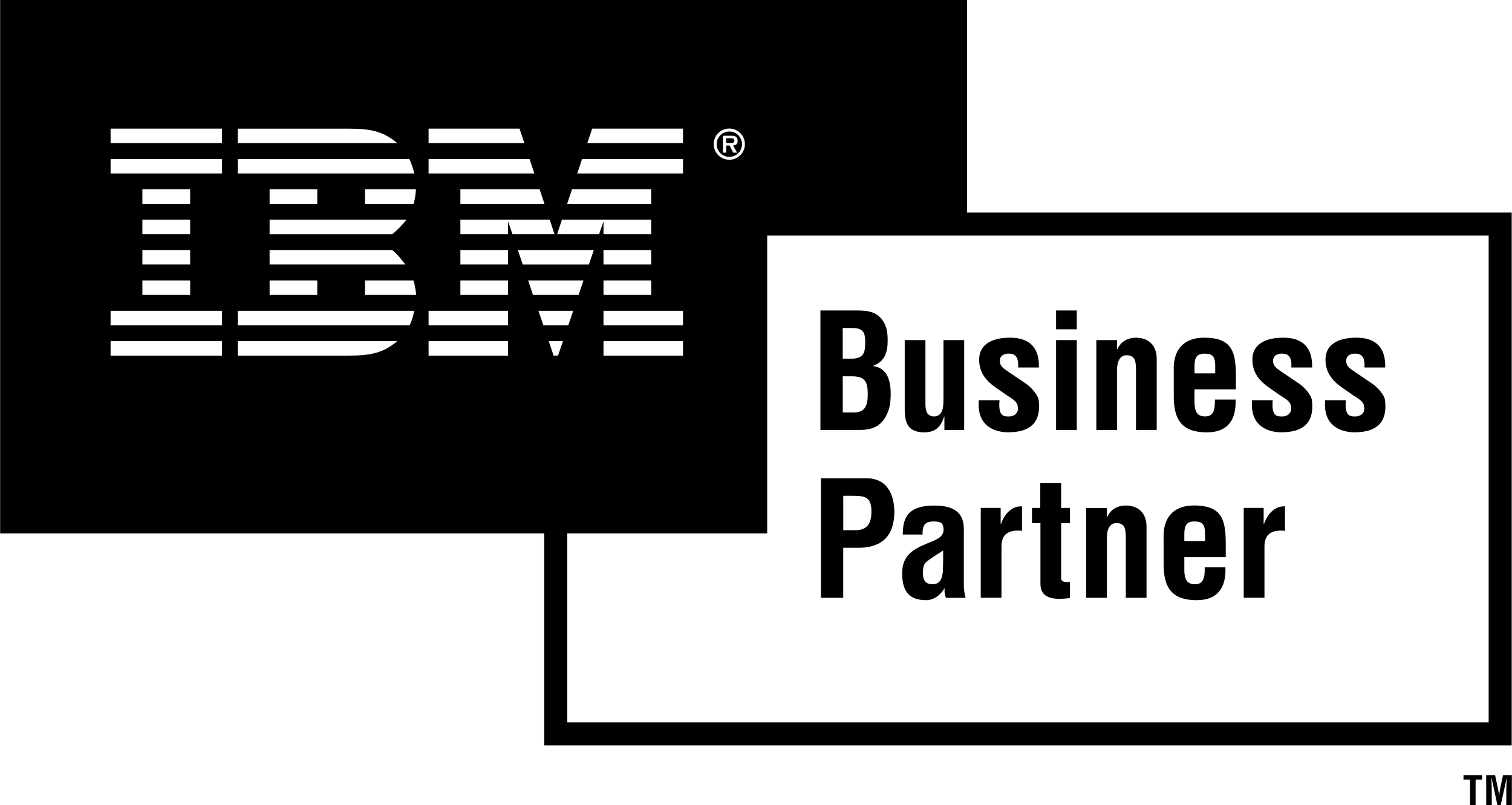 ibm-business-partner (1)